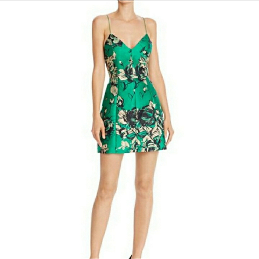 Tayla floral Mini Dress